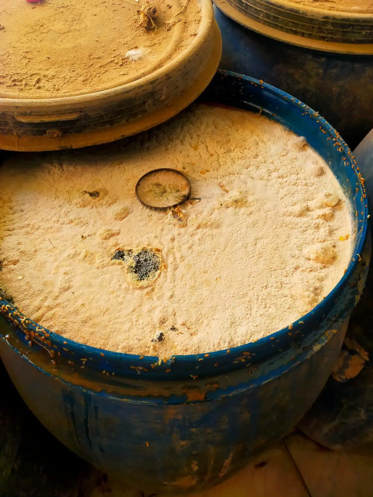 ضربة أمنية ورقابية حاسمة.. صحة بني سويف تضبط مصانع ومراكز ألبان بحوزتها 10.7 طن مخلفات ومواد غذائية غير صالحة بمركز سمسطا