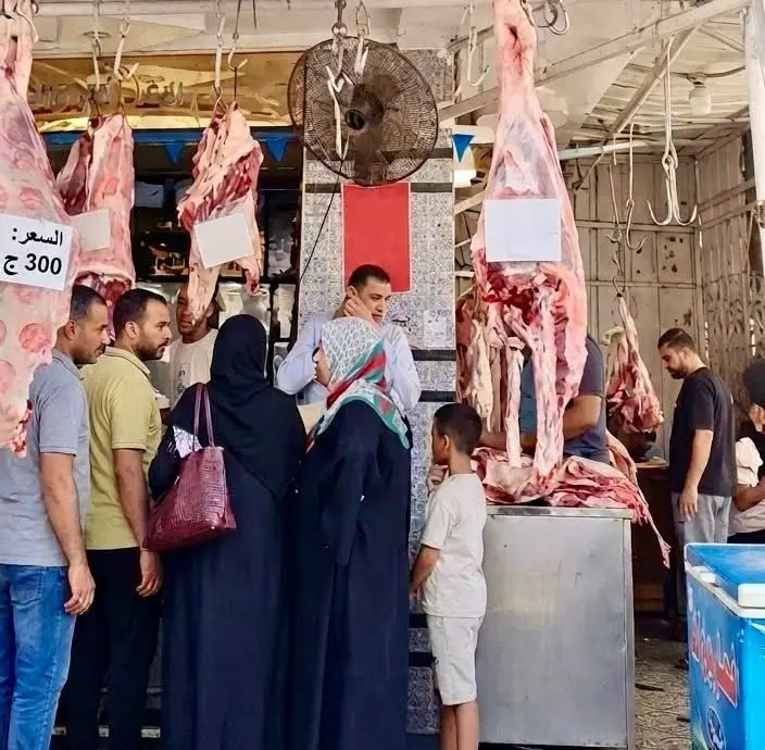 لليوم الثالث بالإسماعيلية.. اللحوم بـ 300 جنيه وتوسيع التخفيضات لتشمل الدواجن والأسماك والبيض